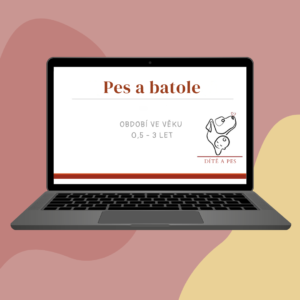 Úvodní obrázek kurzu Pes a batole – bezpečné soužití psa a malého dítěte.