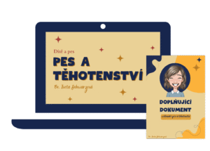 Webinář Pes a těhotenství