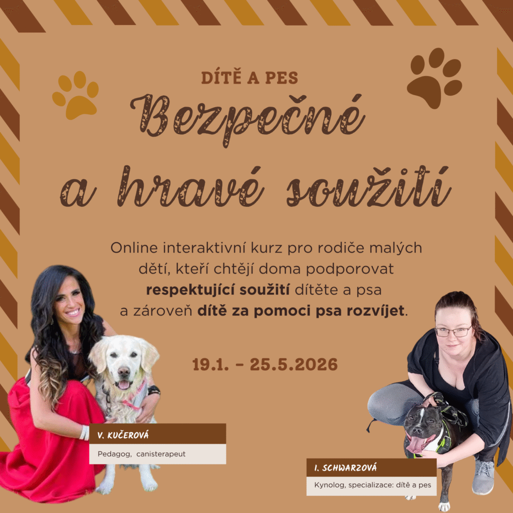 Bezpečné a hravé soužití dětí a psů je kurz pro rodiče malých dětí, kteří chtějí, aby jejich domov byl místem klidu, důvěry a radosti – pro všechny členy rodiny, včetně psa.