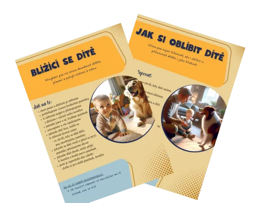 nahled-aktivit-pro-batoleci-obdobi Náhled do dokumentu „Praktické dovednosti pro období batolete“, který obsahuje aktivity pro rozvoj soužití dítěte a psa.